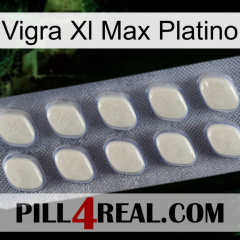 Vigra Xl Max Platinum 08